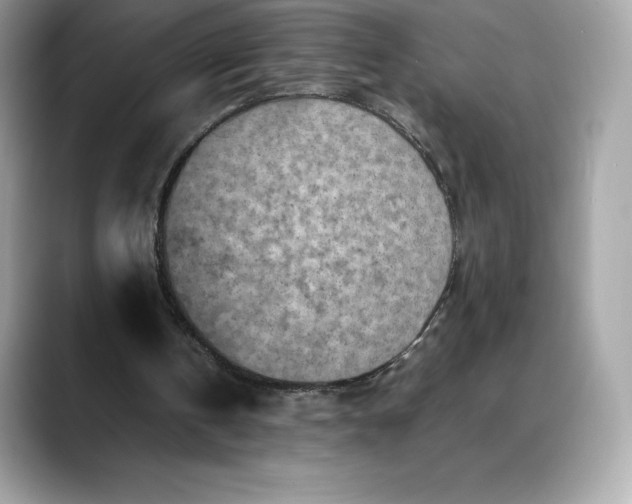 X0000088360146200706051029