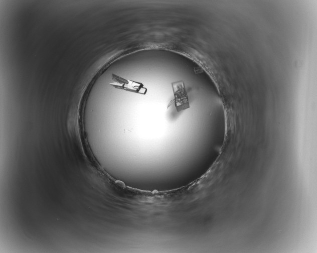 X0000088360147200706051029