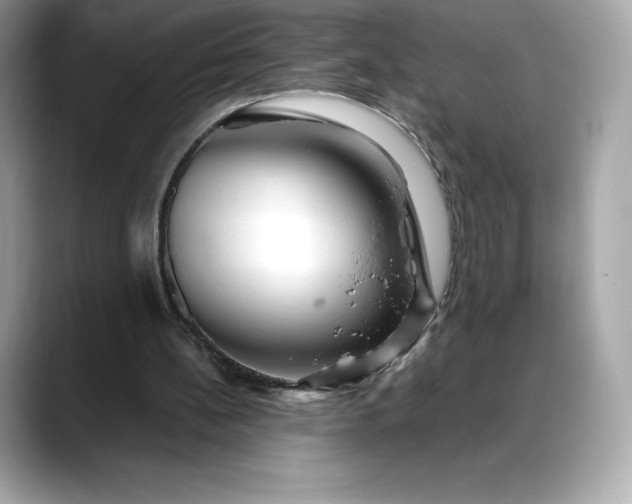 X0000088360148200706051029