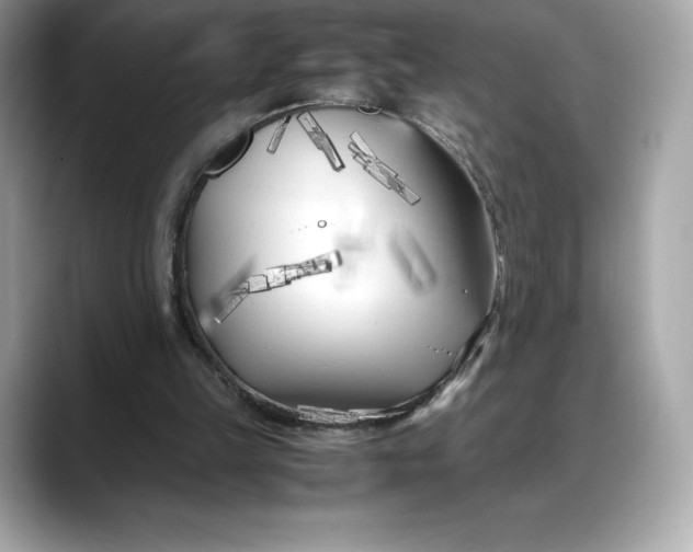 X0000088360149200706051029