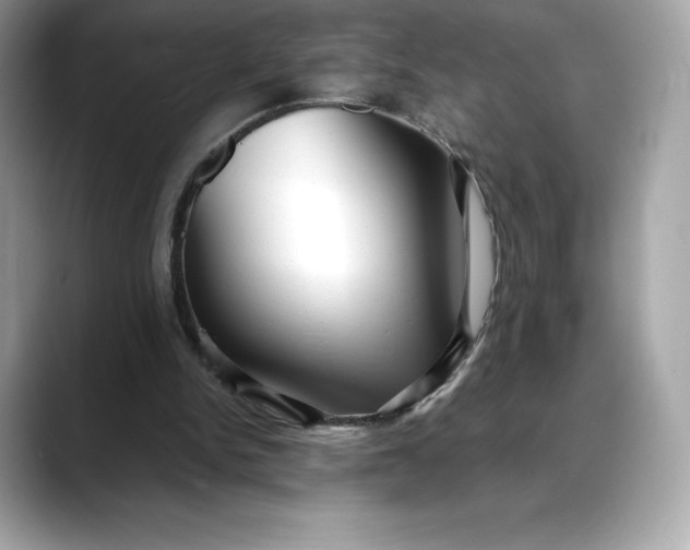 X0000088360150200706051029