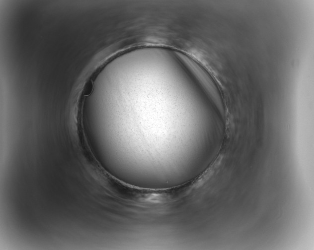 X0000088360151200706051029