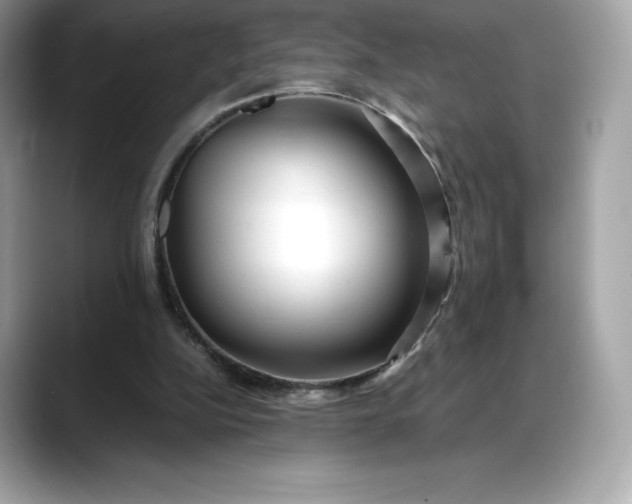 X0000088360152200706051029