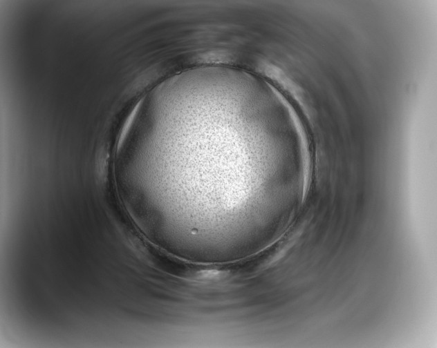 X0000088360153200706051029