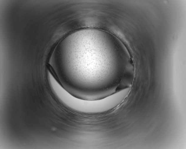 X0000088360154200706051030