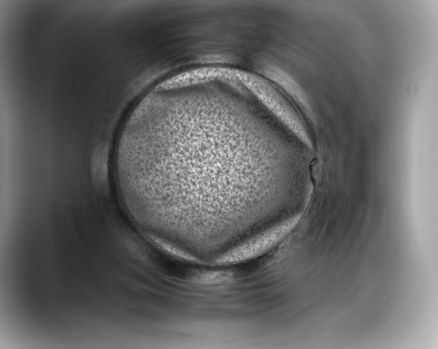 X0000088360155200706051030