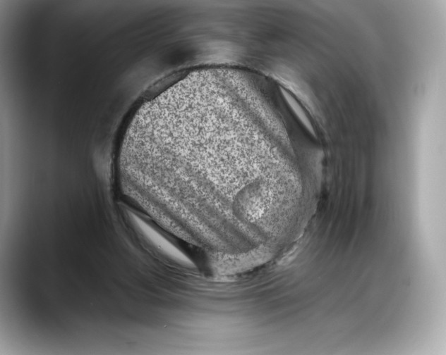 X0000088360156200706051030