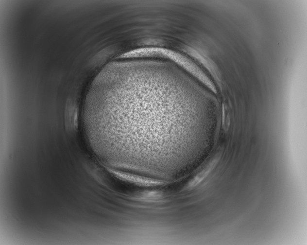 X0000088360157200706051030