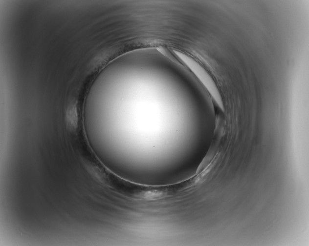 X0000088360158200706051030