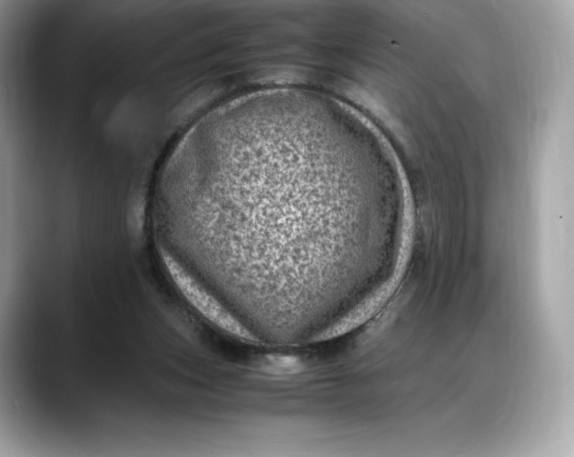 X0000088360159200706051030