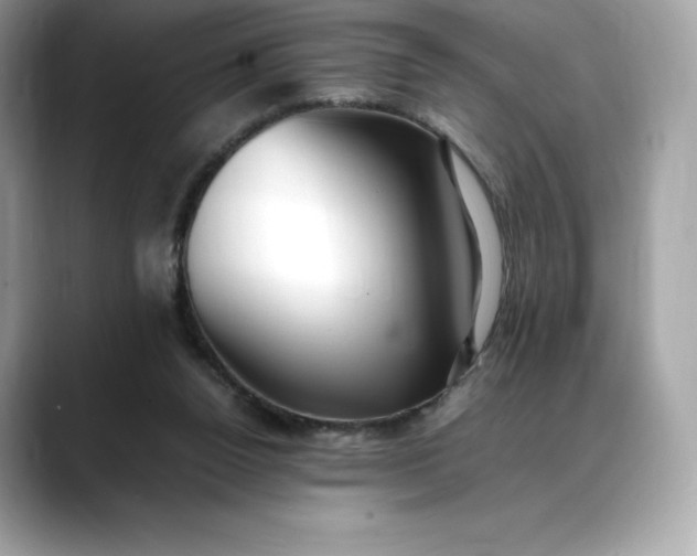 X0000088360160200706051030