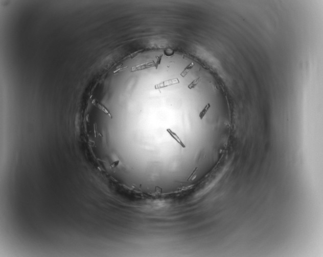 X0000088360161200706051030