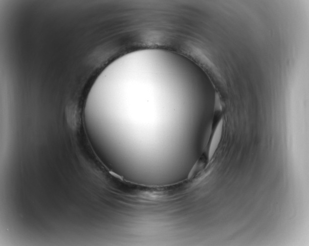 X0000088360164200706051030