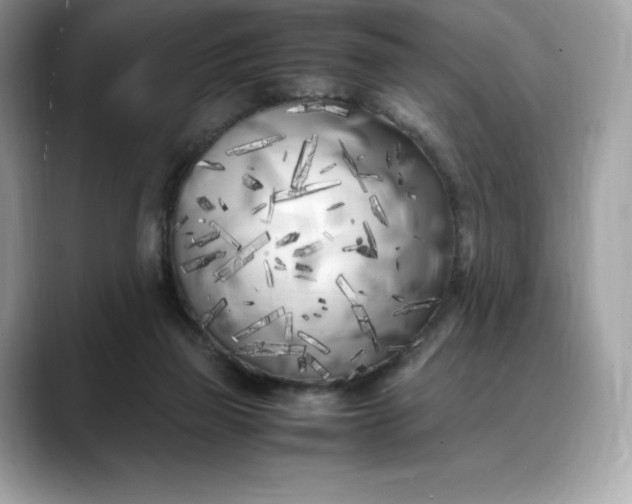 X0000088360165200706051030