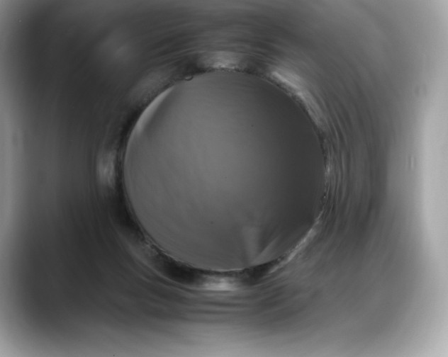 X0000088360167200706051030