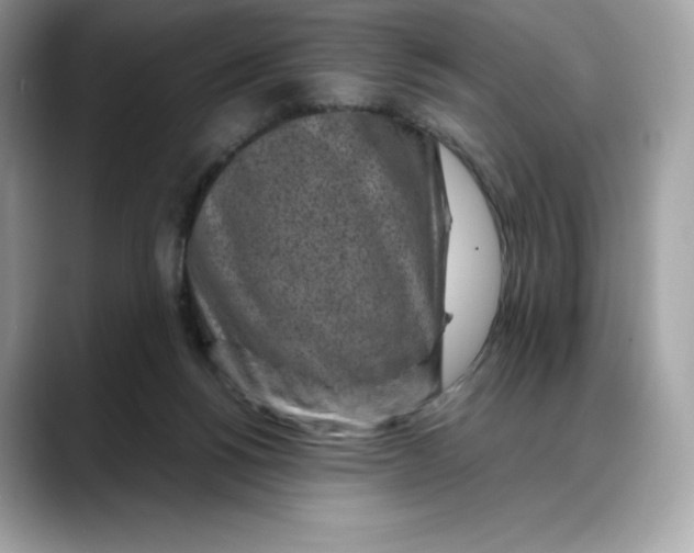 X0000088360168200706051030