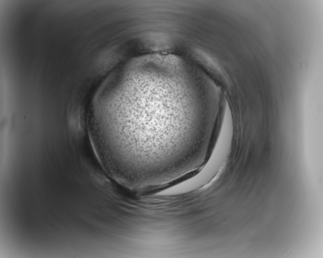 X0000088360170200706051030