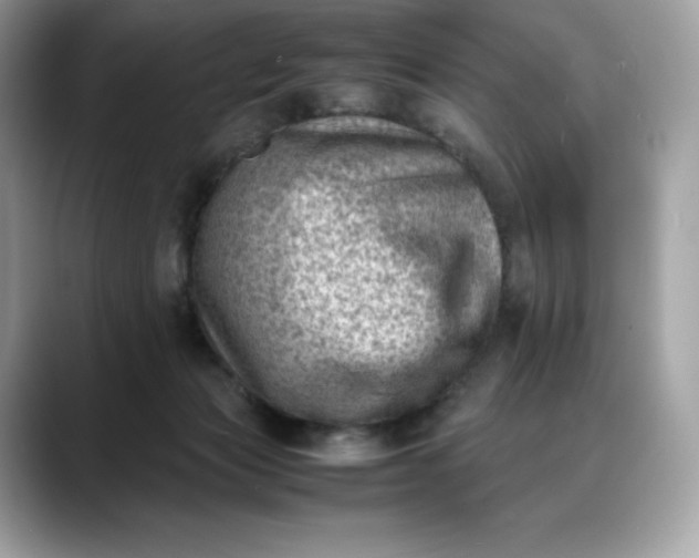 X0000088360173200706051030