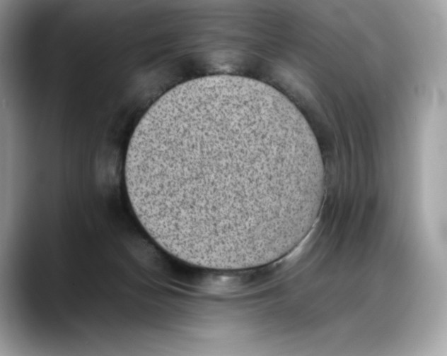 X0000088360174200706051030