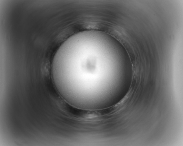 X0000088360175200706051030