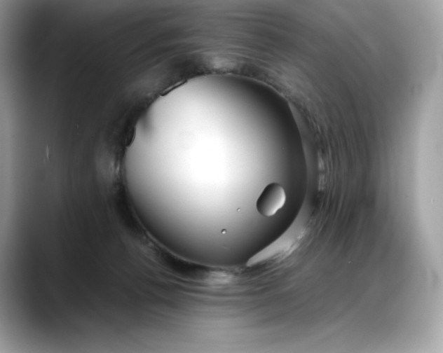 X0000088360176200706051030