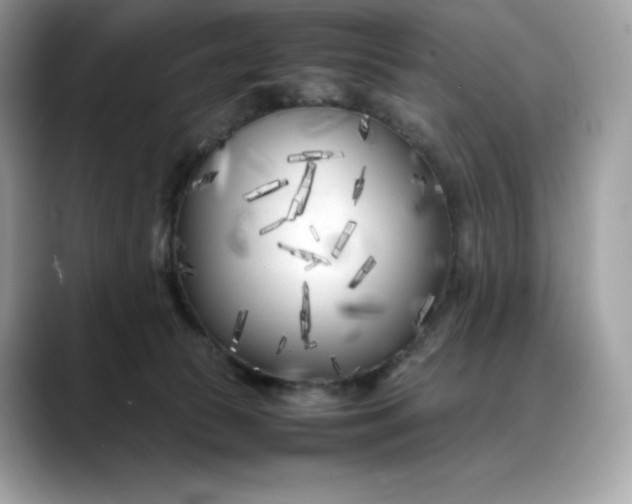 X0000088360177200706051030