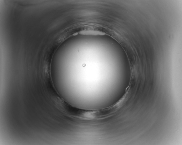 X0000088360178200706051030