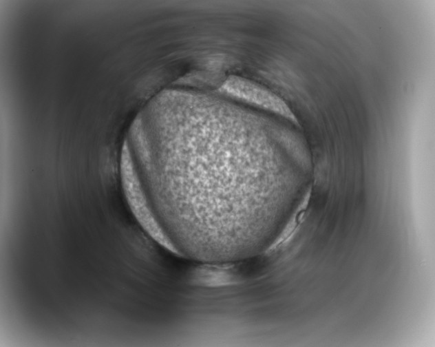 X0000088360179200706051030