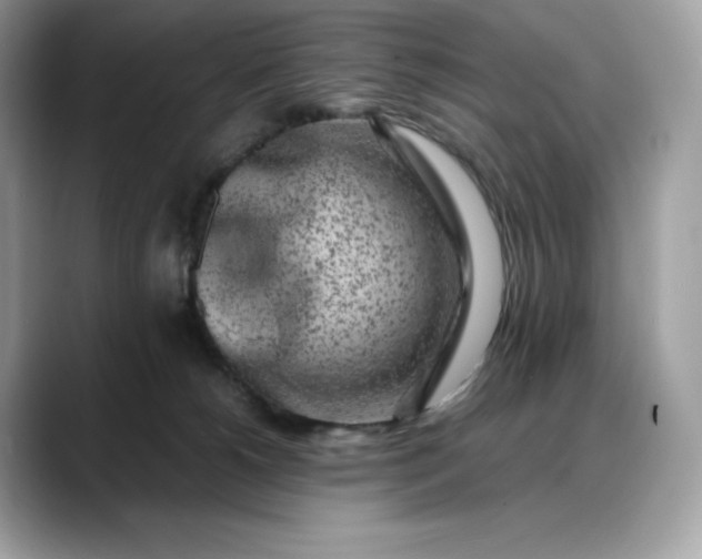 X0000088360180200706051030