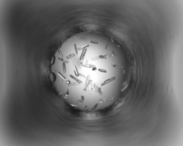 X0000088360181200706051030