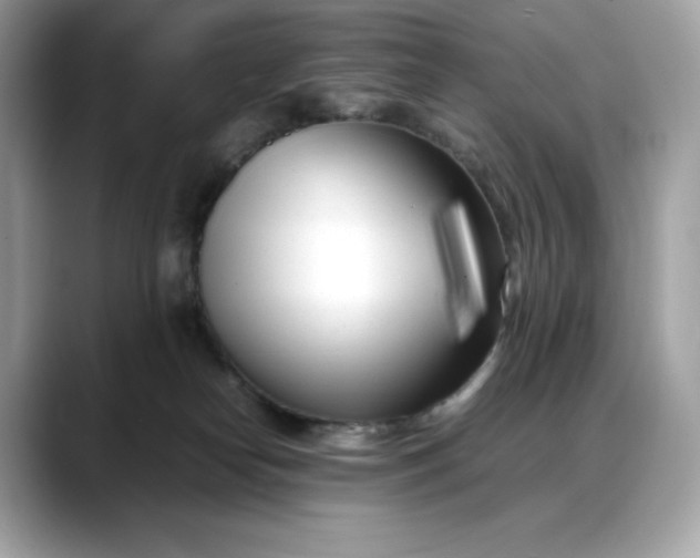 X0000088360182200706051030