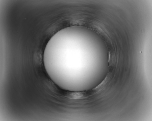 X0000088360183200706051030