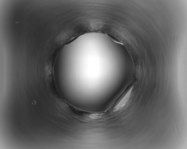 X0000088360184200706051030