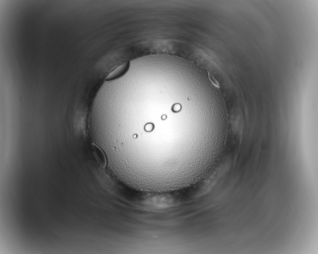 X0000088360185200706051030