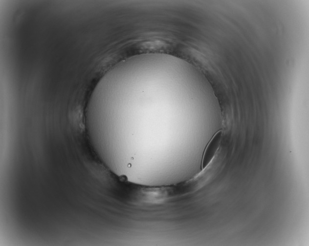 X0000088360187200706051030