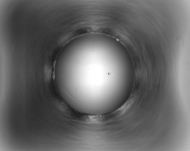 X0000088360188200706051030