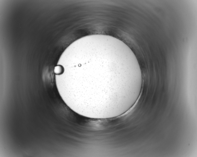 X0000088360190200706051030