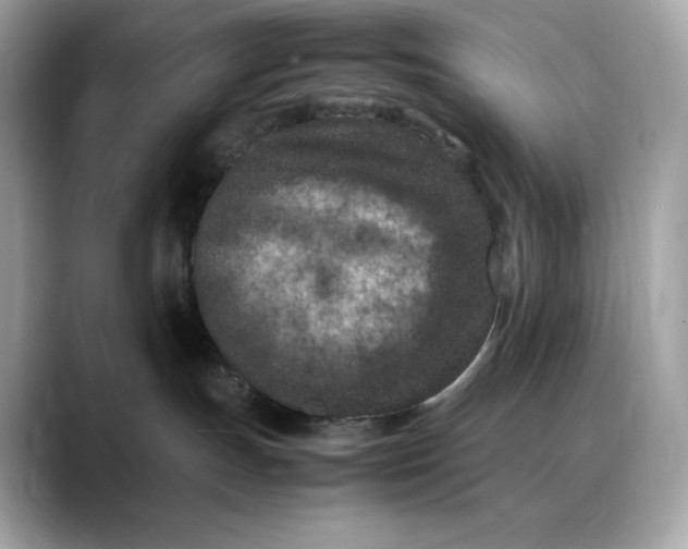 X0000088360191200706051030