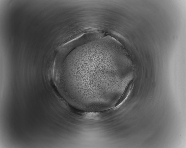 X0000088360192200706051030