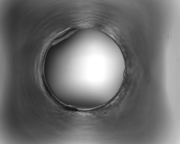 X0000088360193200706051029