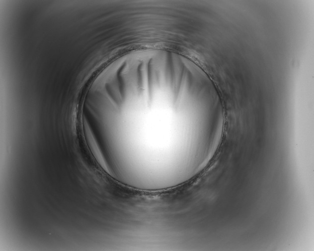 X0000088360194200706051029