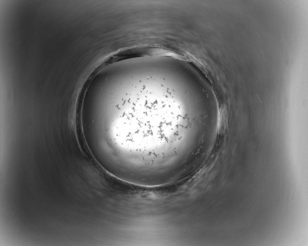 X0000088360195200706051029