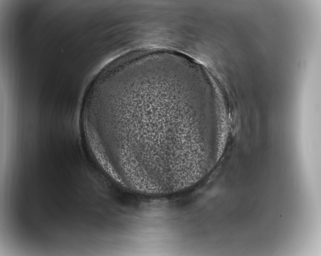 X0000088360196200706051029