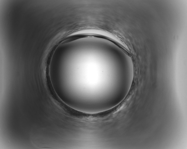 X0000088360197200706051029