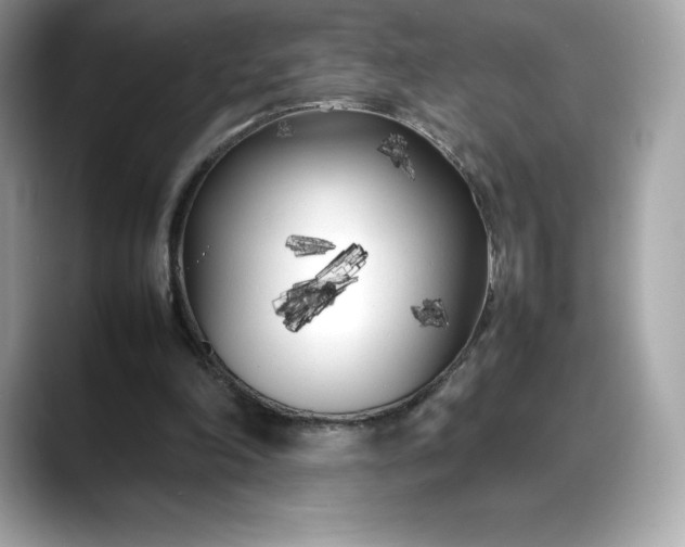 X0000088360198200706051029