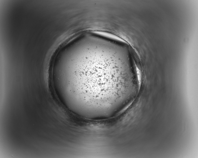 X0000088360199200706051029