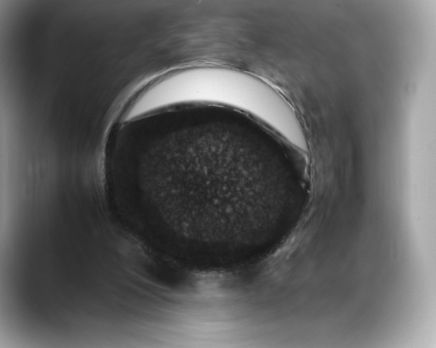 X0000088360200200706051029