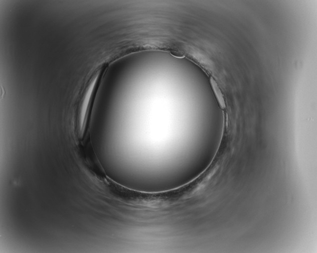 X0000088360201200706051029