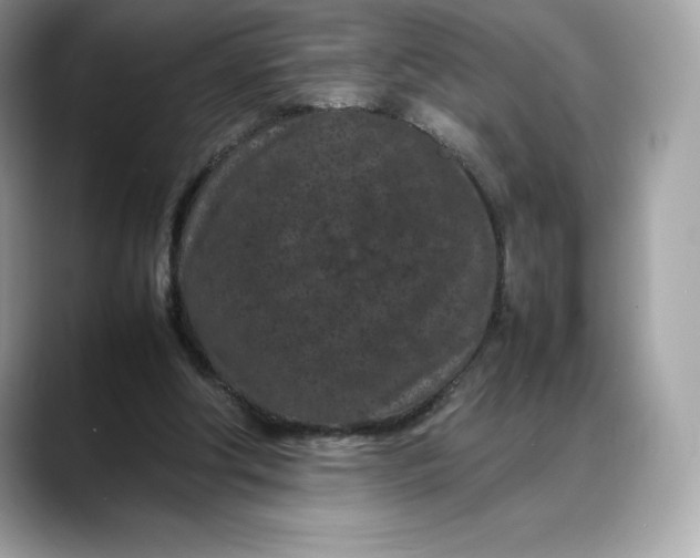 X0000088360202200706051029