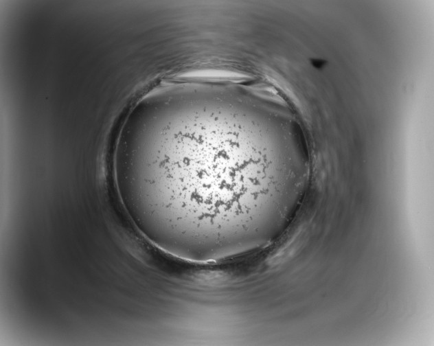 X0000088360203200706051029